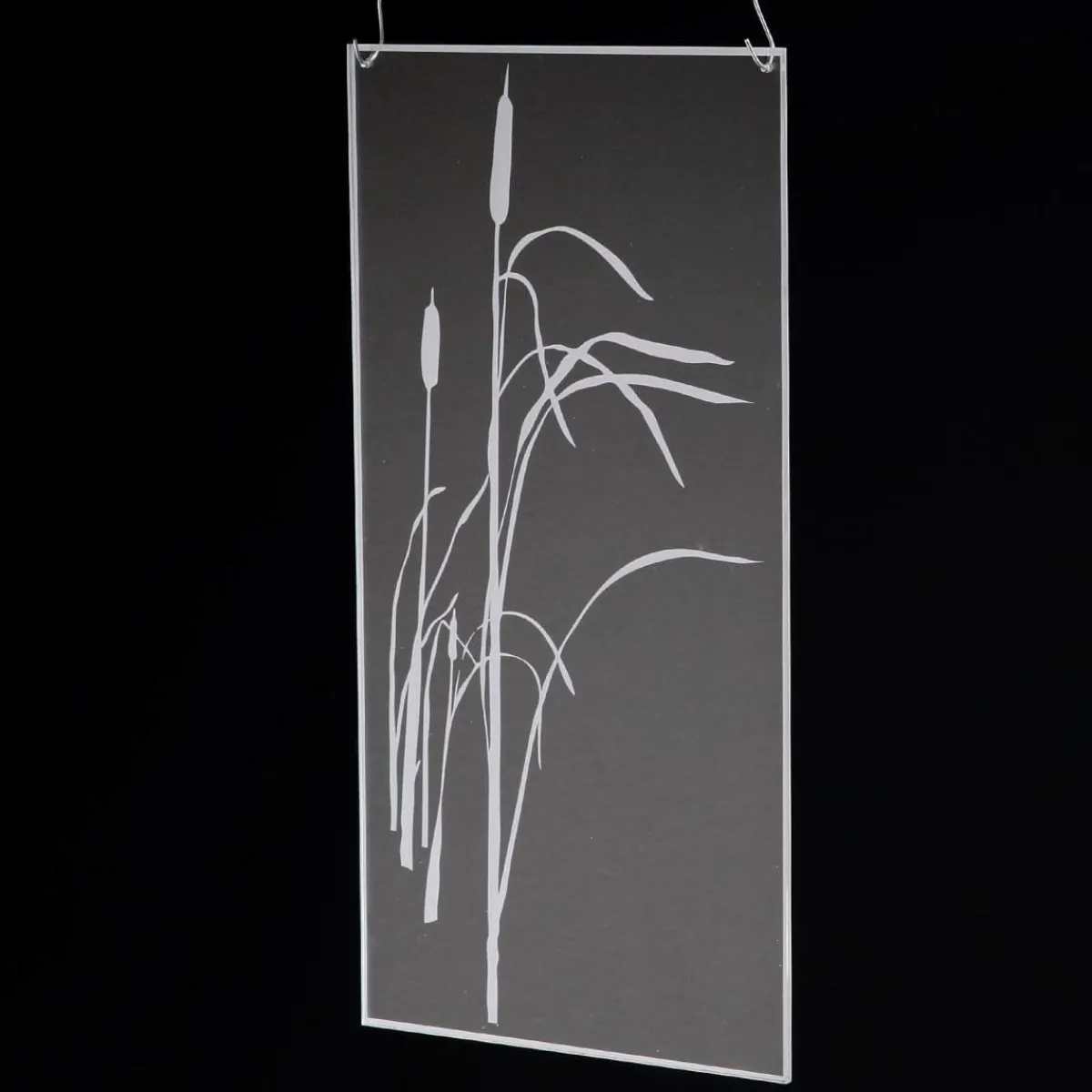 New DecoWoerner Acrylbild "Schilfkolben" 25 X 50 Cm transparent