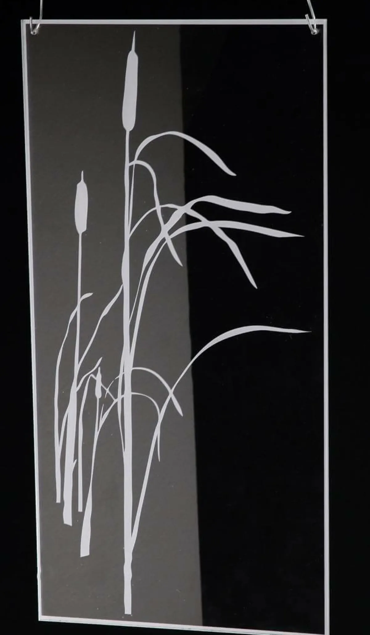 New DecoWoerner Acrylbild "Schilfkolben" 25 X 50 Cm transparent