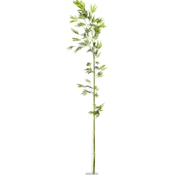 Online DecoWoerner Bambus-Ast 190 Cm grün