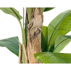 Discount DecoWoerner Bananenpflanze 170 Cm grün