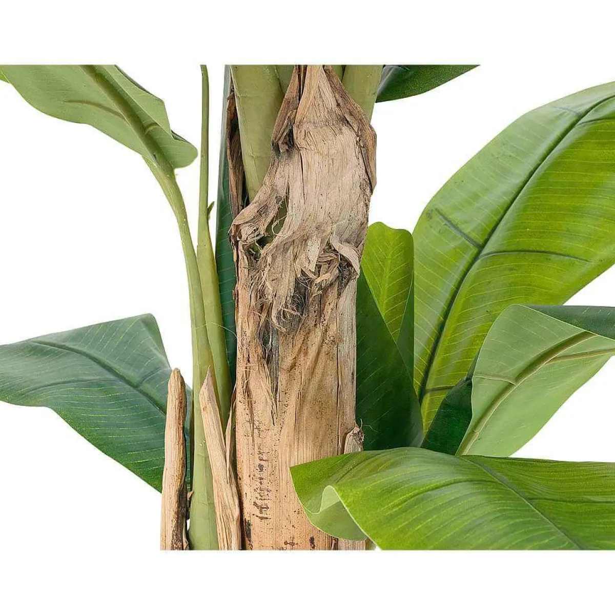 Discount DecoWoerner Bananenpflanze 170 Cm grün