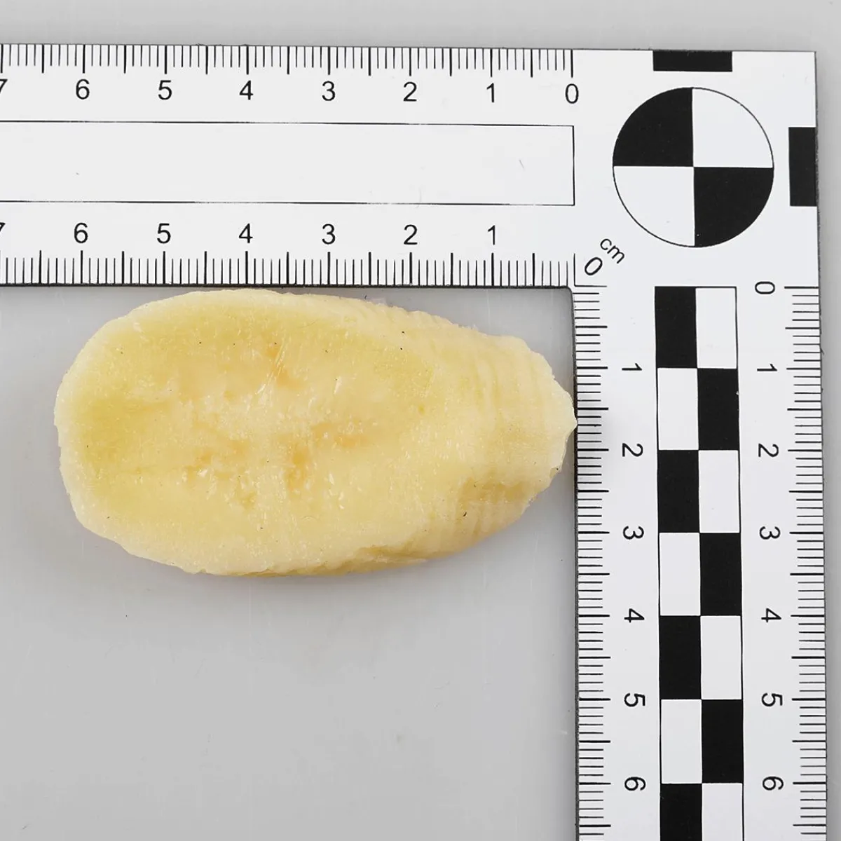 Outlet DecoWoerner Bananenscheiben Lebensmittel-Attrappe, Pack à 6 Stück Beige