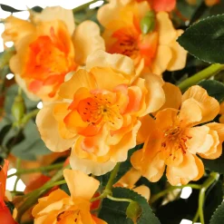 Online DecoWoerner Blüten-Farn-Baum 190cm orange