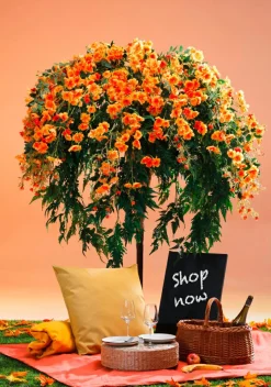 Online DecoWoerner Blüten-Farn-Baum 190cm orange