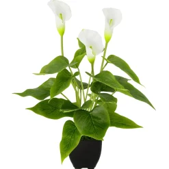 Best DecoWoerner Calla Kunstpflanze 40 Cm Im Topf weiß