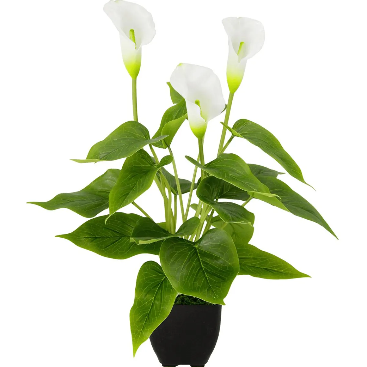 Best DecoWoerner Calla Kunstpflanze 40 Cm Im Topf weiß