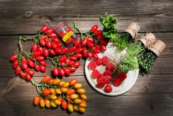 Best DecoWoerner Cherrytomaten-Hälfte Lebensmittel-Attrappe, 6 Stück rot