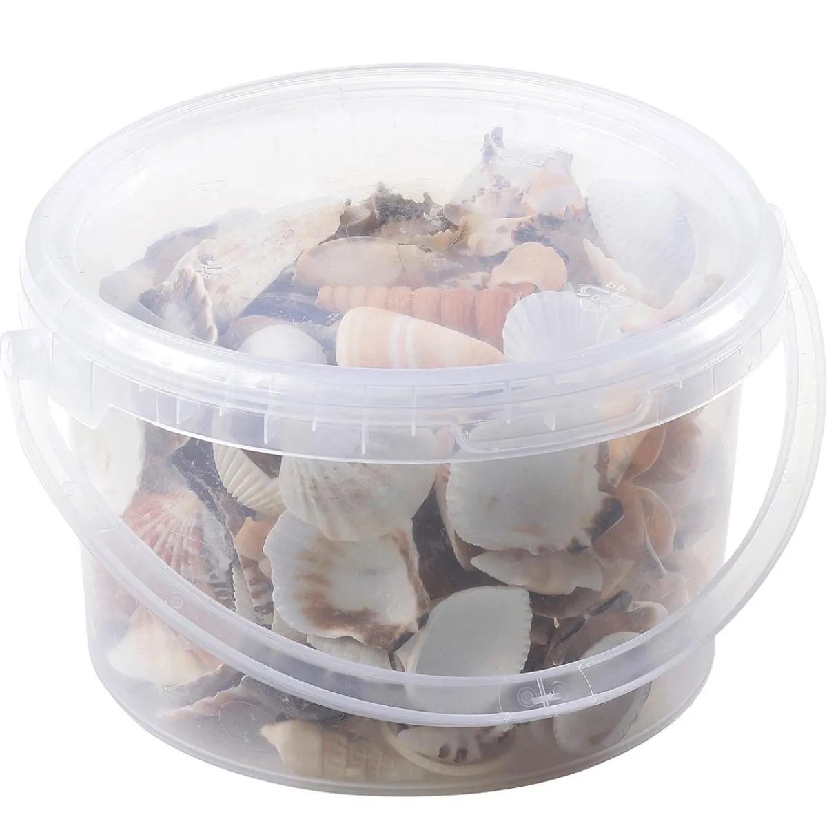 Outlet DecoWoerner Deko Muscheln Und Schnecken, 1400 G mehrfarbig