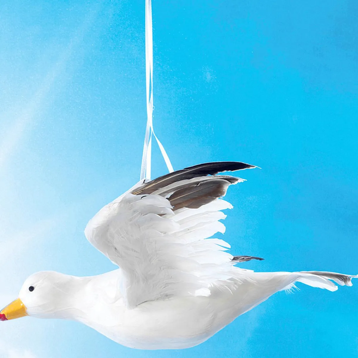 Outlet DecoWoerner Deko Möwe Fliegend, 43 Cm Breit weiß