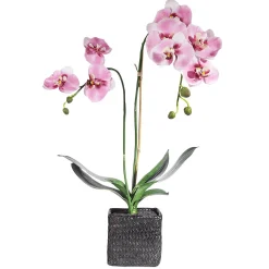 Sale DecoWoerner Deko Orchidee Im Topf 80 Cm rosa