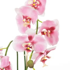 Sale DecoWoerner Deko Orchidee Im Topf 80 Cm rosa