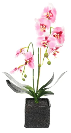 Sale DecoWoerner Deko Orchidee Im Topf 80 Cm rosa