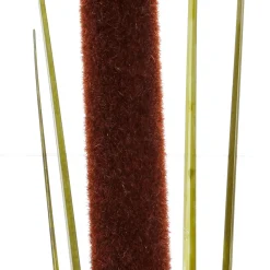 Hot DecoWoerner Deko Schilfgras, Pack á 3 Stück grün