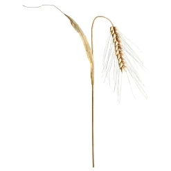 Clearance DecoWoerner Deko Weizenähre, 170 Cm Hoch Beige