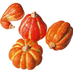 Discount DecoWoerner Deko Zierkürbisse, Pack à 4 Stück orange