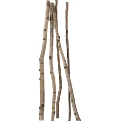Clearance DecoWoerner Deko-Birkenstämme 170 Cm, 5 Stück Beige