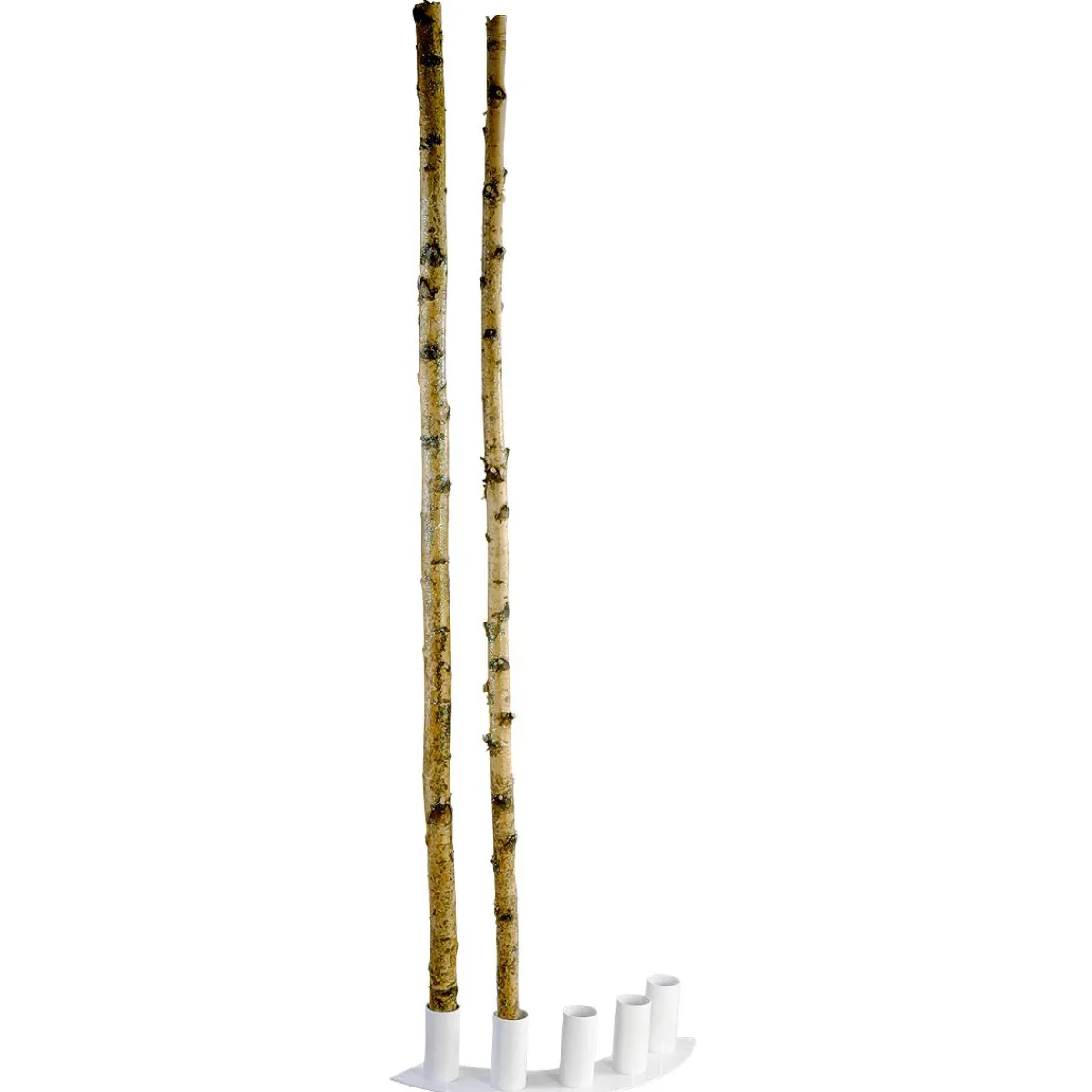 Discount DecoWoerner Deko-Birkenstämme 220 Cm, 6 Stück