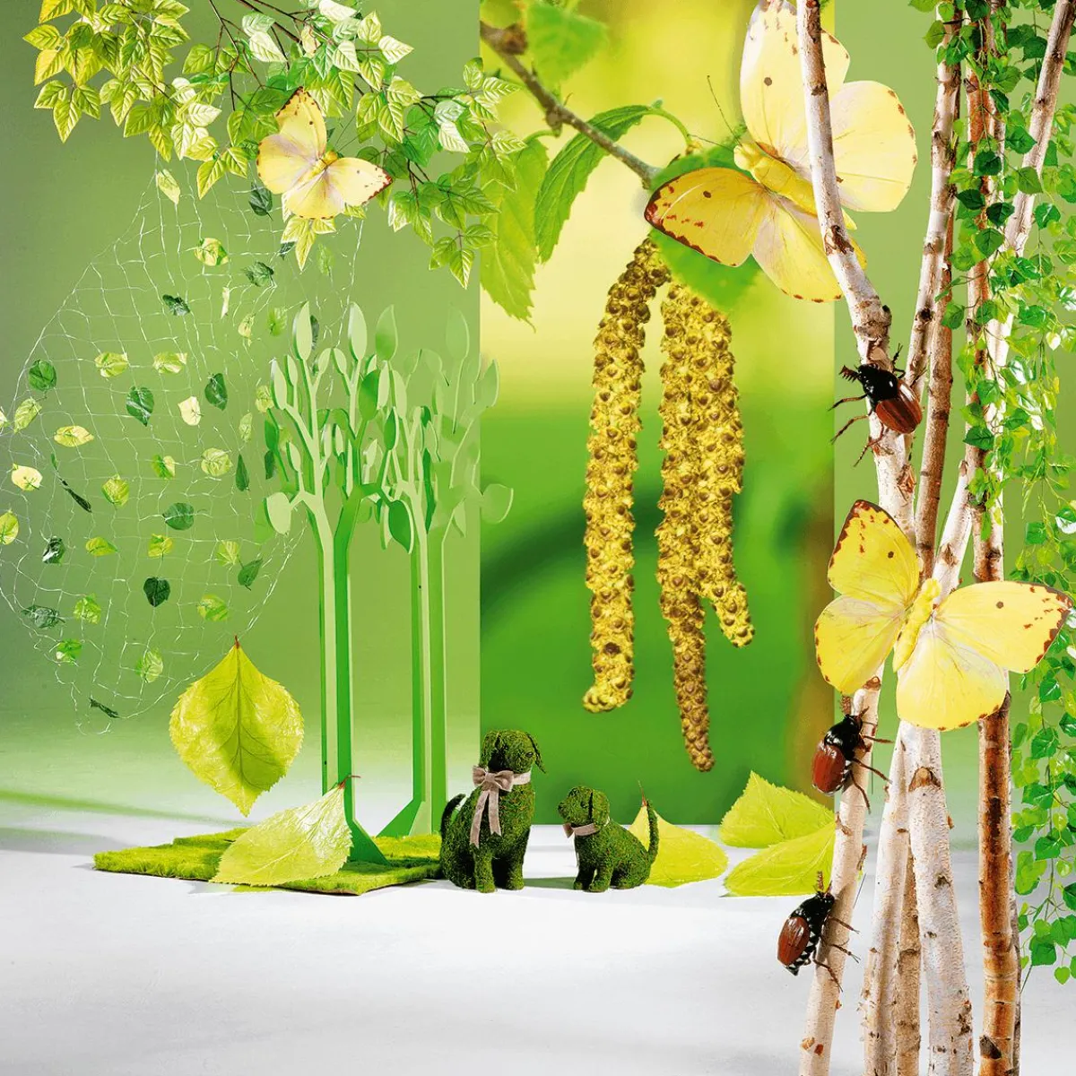 Discount DecoWoerner Deko-Birkenstämme 220 Cm, 6 Stück