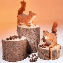Online DecoWoerner Deko-Eichhörnchen 24 Cm Hoch orange