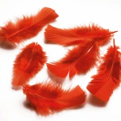 Discount DecoWoerner Dekofedern , 20 G rot