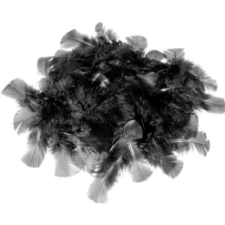 Sale DecoWoerner Dekofedern , 20 G schwarz