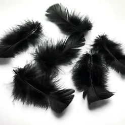 Sale DecoWoerner Dekofedern , 20 G schwarz