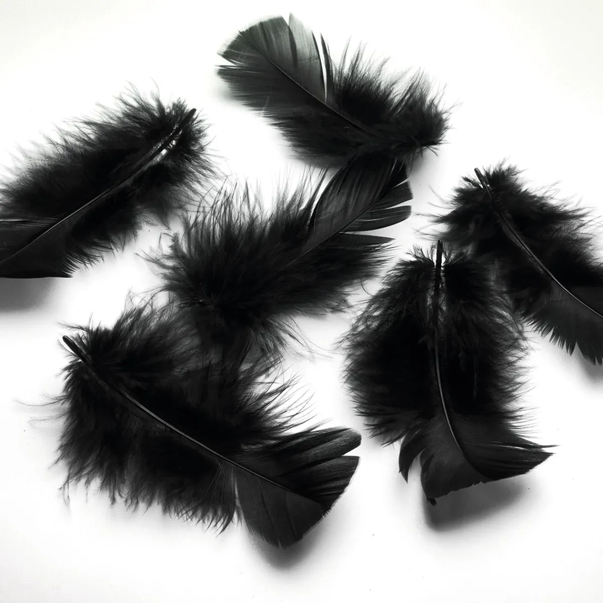 Sale DecoWoerner Dekofedern , 20 G schwarz