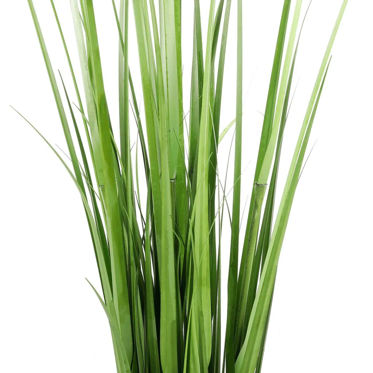 Clearance DecoWoerner Dekogras-Bund, 150 Cm grün