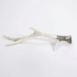 DecoWoerner Deko-Hirsch Geweih 32 Cm weiß