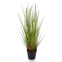 Hot DecoWoerner Deko-Lampenputzergras Im Schwarzen Topf B1, 54 Cm grün