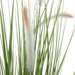 Hot DecoWoerner Deko-Lampenputzergras Im Schwarzen Topf B1, 54 Cm grün