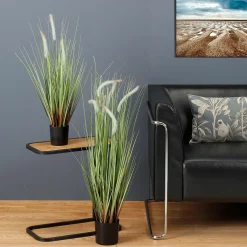 Hot DecoWoerner Deko-Lampenputzergras Im Schwarzen Topf B1, 54 Cm grün