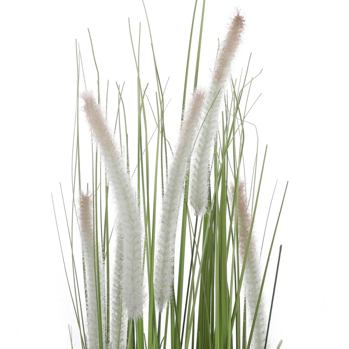 Clearance DecoWoerner Deko-Lampenputzergras Im Schwarzen Topf B1, 90 Cm grün