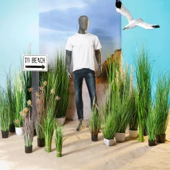 Clearance DecoWoerner Deko-Lampenputzergras Im Schwarzen Topf B1, 90 Cm grün