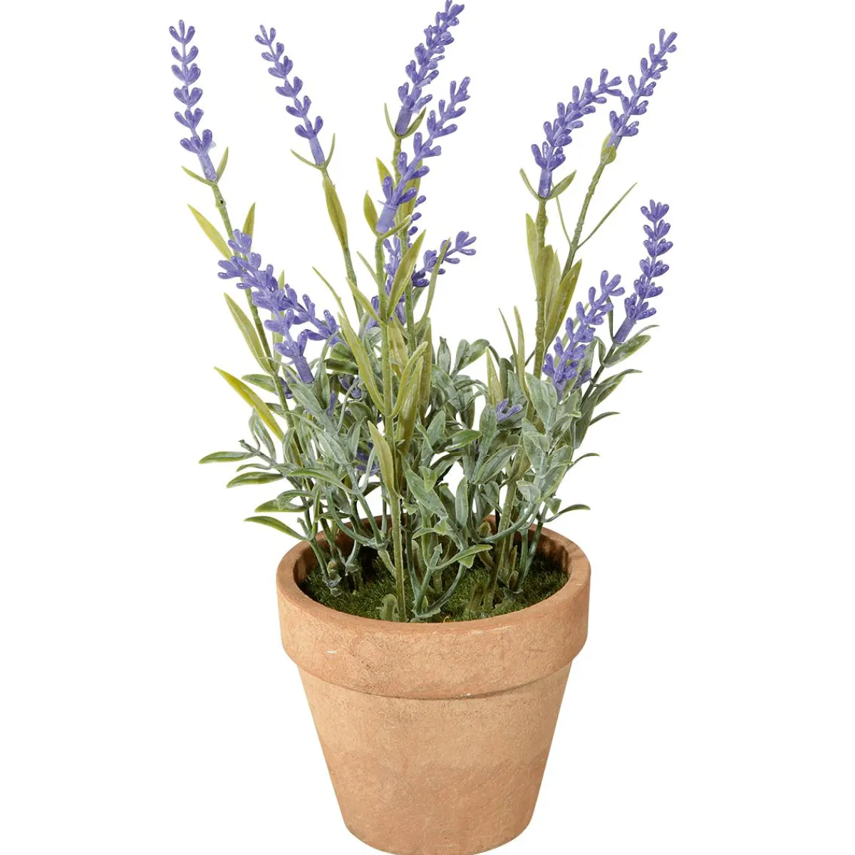 Online DecoWoerner Deko-Lavendel Im Topf, 22 Cm violett