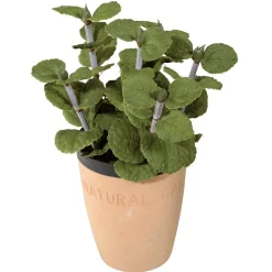 New DecoWoerner Deko-Minze Im Ton-Topf 20 Cm grün