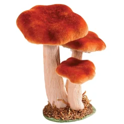 Online DecoWoerner Deko-Pilz, 18 Cm Hoch orange