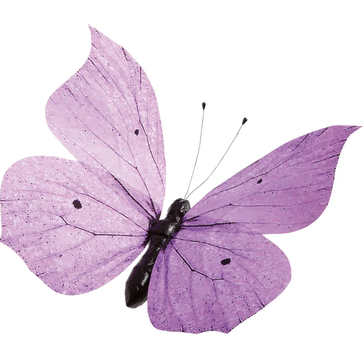 Outlet DecoWoerner Deko-Schmetterling Lila, 50 Cm violett