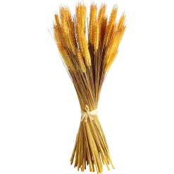 Hot DecoWoerner Deko-Weizenbündel 60 Cm gelb