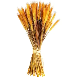 Hot DecoWoerner Deko-Weizenbündel 60 Cm gelb