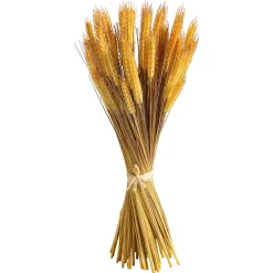 Hot DecoWoerner Deko-Weizenbündel 60 Cm gelb