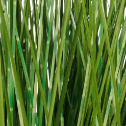 Online DecoWoerner Deko-Zebragras Im Weißen Topf 50 Cm grün