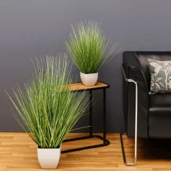 Online DecoWoerner Deko-Zebragras Im Weißen Topf 50 Cm grün