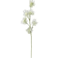 Online DecoWoerner Dekozweig Clematis-Fruchtstand 87 Cm weiß
