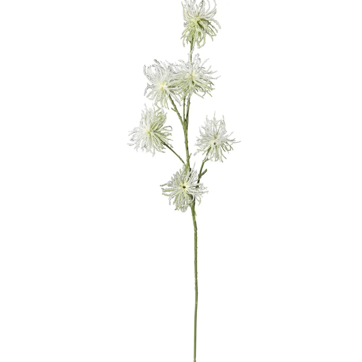 Online DecoWoerner Dekozweig Clematis-Fruchtstand 87 Cm weiß