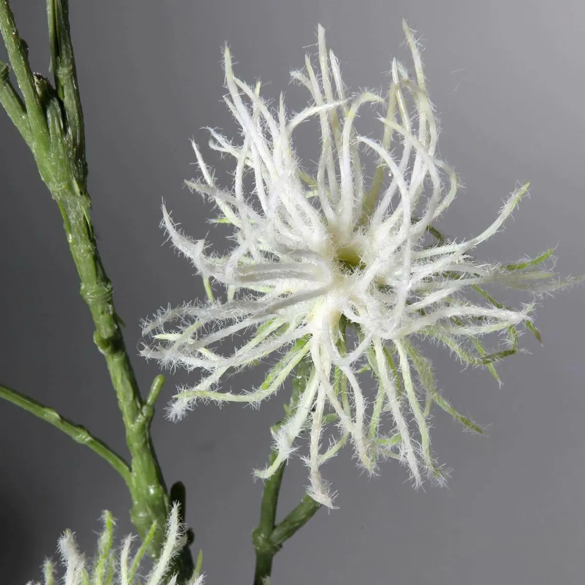 Online DecoWoerner Dekozweig Clematis-Fruchtstand 87 Cm weiß