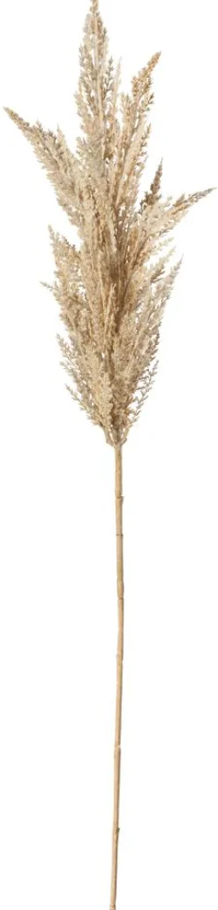 Outlet DecoWoerner Dekozweig Schilfblüte, 94 Cm Beige