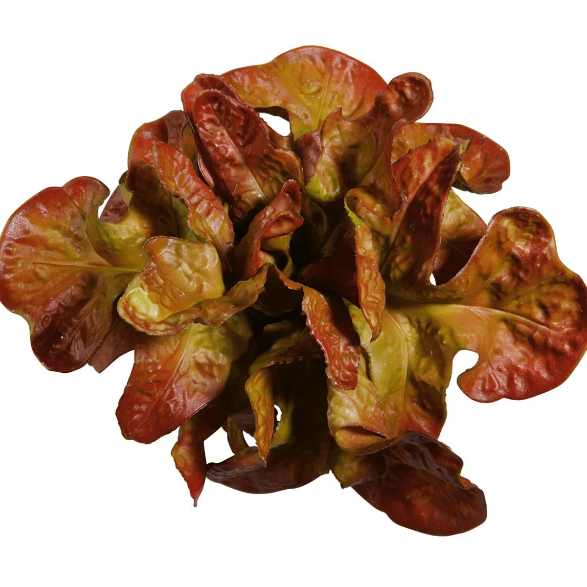 Discount DecoWoerner Eichblattsalat Lebensmittel-Attrappe, 23 Cm Ø rot