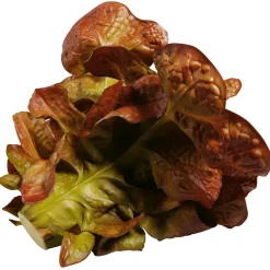 Discount DecoWoerner Eichblattsalat Lebensmittel-Attrappe, 23 Cm Ø rot