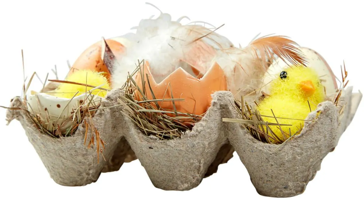 Online DecoWoerner Eier-Küken-Schachtel braun
